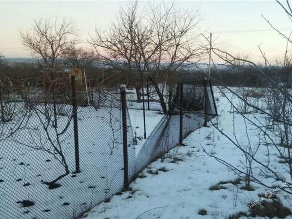 В Одесской области поймали «дачного» вора-рецидивиста