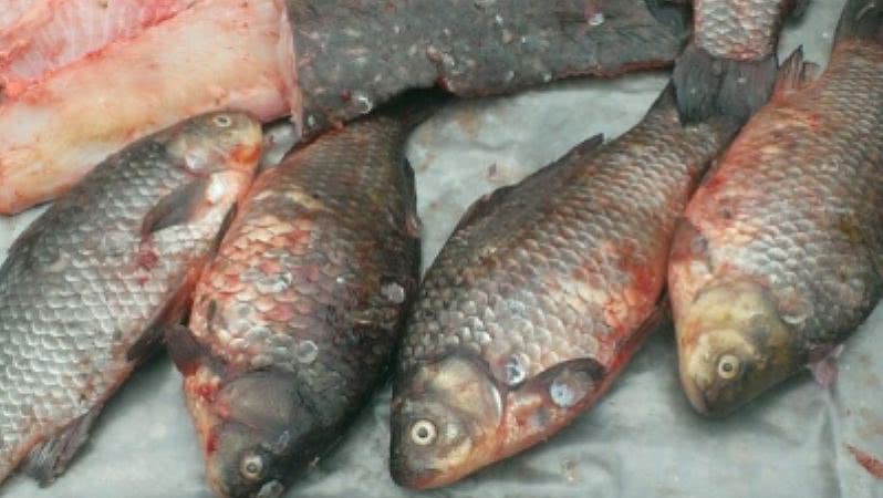На рынке «Ассорти» в Аккермане выявлены факты незаконной торговли рыбой