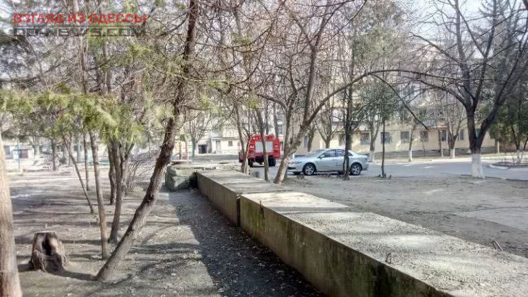 В Одесской области в квартире нашли тело хозяйки