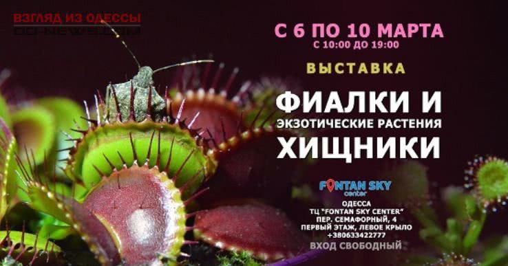 В Одессе в честь 8 марта планируется выставка цветов
