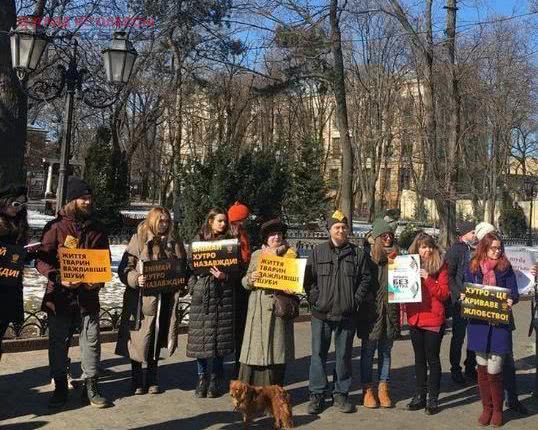 Нет натуральному меху и живодерням: Одесса присоединилась к масштабной акции