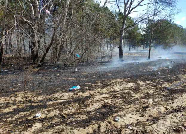 В Килийском районе тушили 2 га травы