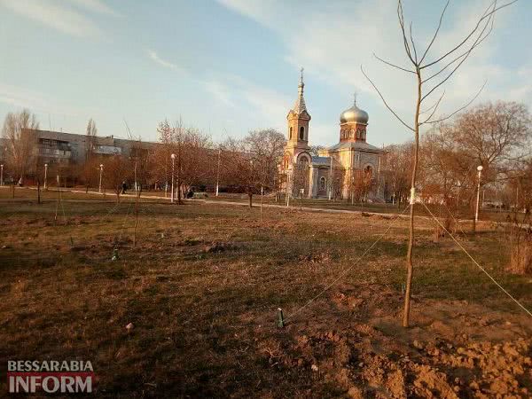 В Измаиле приступили к весенней высадке деревьев - начали с парка Памяти (фотофакт)