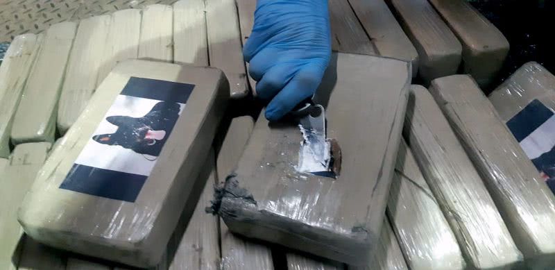 В порту Южного среди ящиков с бананами обнаружили 256 кг кокаина