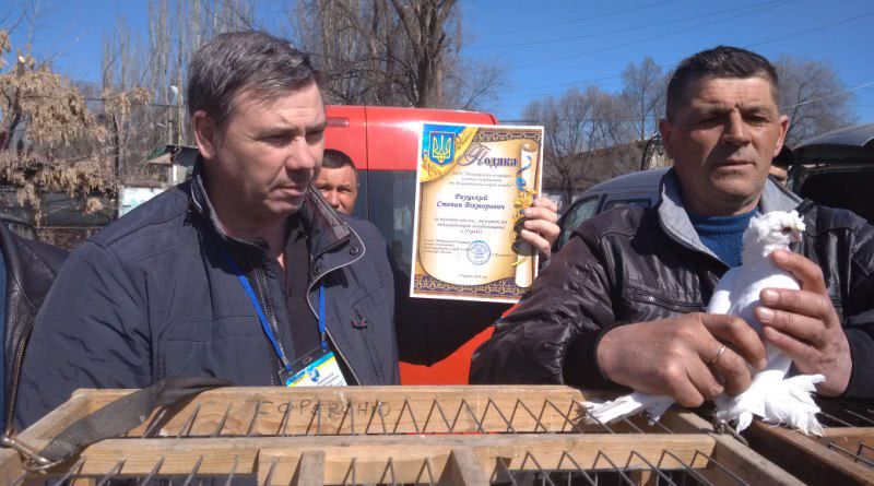 В Татарбунарах состоялась ярмарка голубей и декоративных птиц
