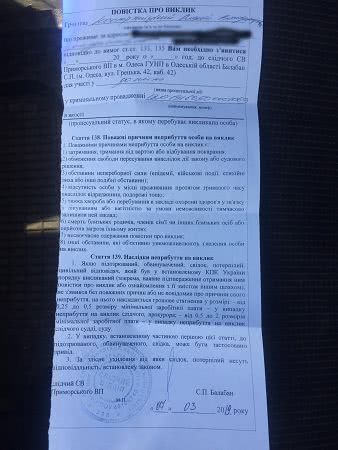 Активистам Летнего театра вручили повестки на допрос за субботник (фото, видео)