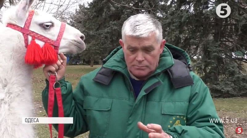 Одещина, День народження області