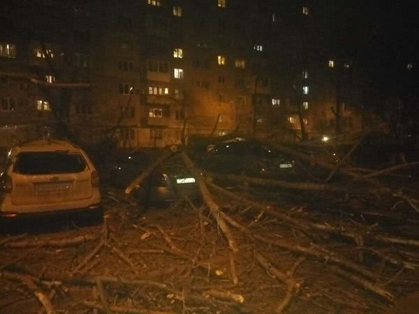 На Таирова дерево рухнуло на припаркованные автомобили. Фото