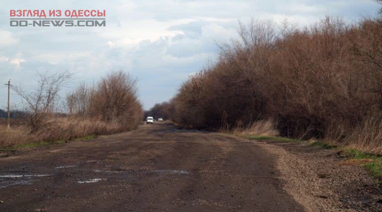 В Одесской области обнаружили останки неизвестного мужчины