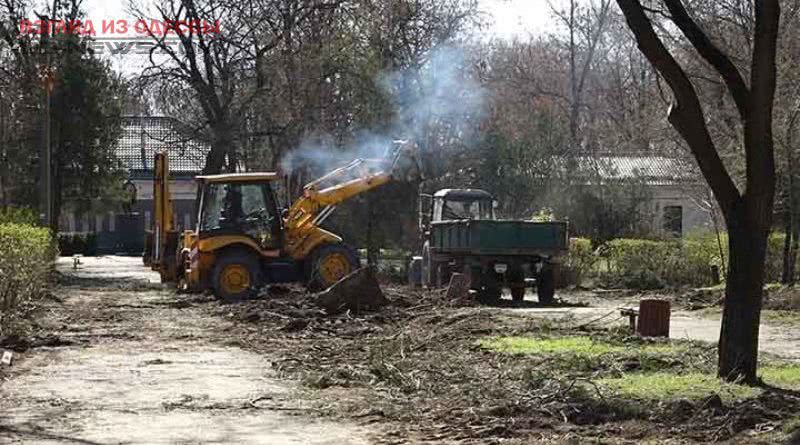 В Одесской области взялись привести в порядок парк