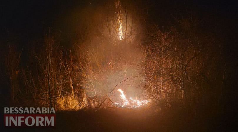 В Лесках Килийской ОТГ серьезное возгорание травы перешло на нежилые дома, есть угроза жилым (обновляется)