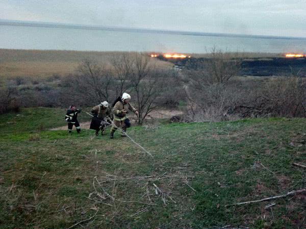 В Одесской области снова произошел пожар в природном парке: ГСЧСники спасли собаку. Фото