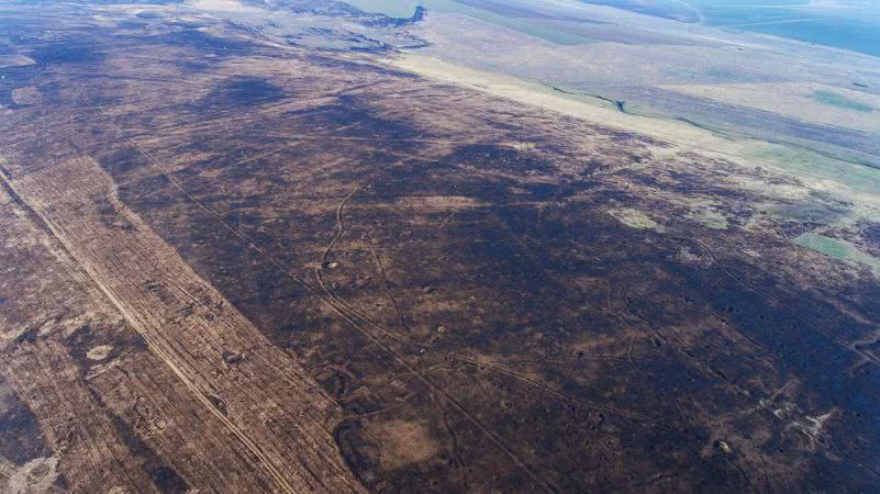В Одеській області вигоріло 6 тисяч гектарів заповідного Тарутинського степу
