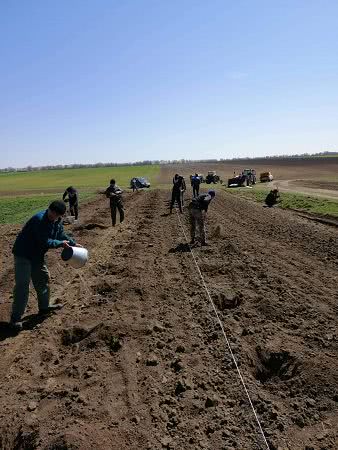 В селе Главани Арцизского района возрождают лесопосадки