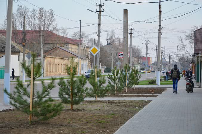 По всей Килийской ОТГ в разгаре пора озеленения