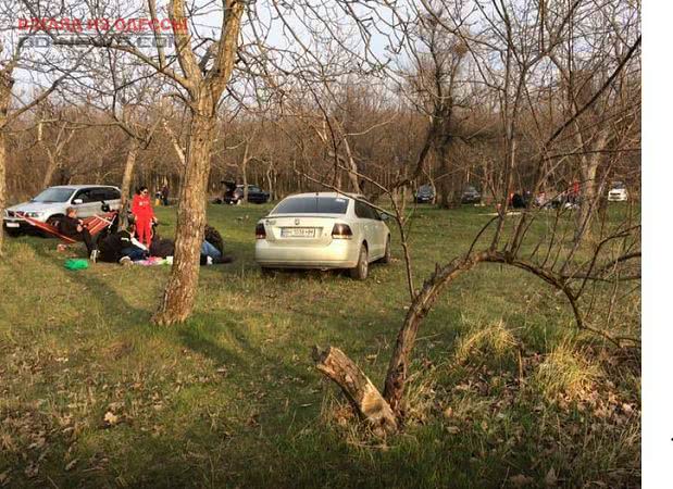 В Одессе автохамы нарушают правила парковки в зеленых зонах города
