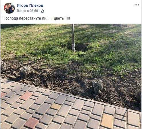 Даже пары дней не продержалась: в Рени украли кусты высаженной на площади лаванды