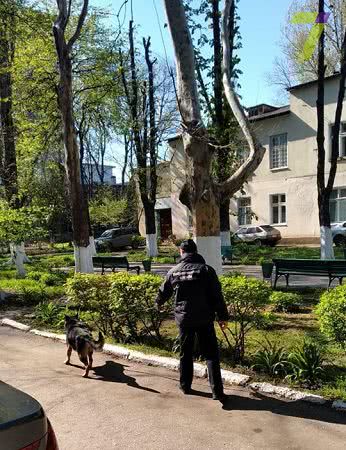 В Киевском районе Одессы «заминировали» медучреждение (обновлено)