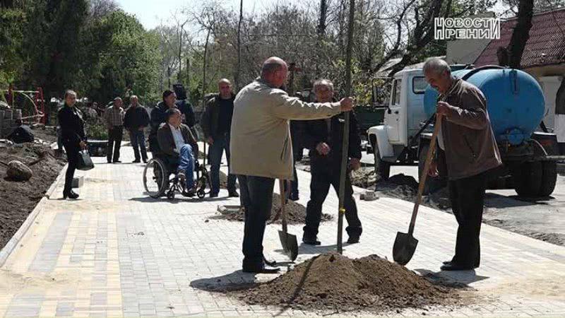 Озеленение продолжается: в Рени высадили аллею из вековых дубов
