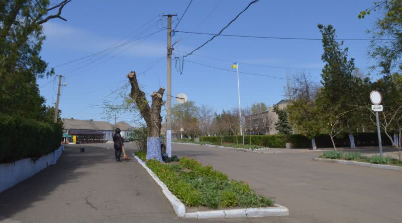 В Татарбунарах коммунальщики продолжают варварски обрезать деревья