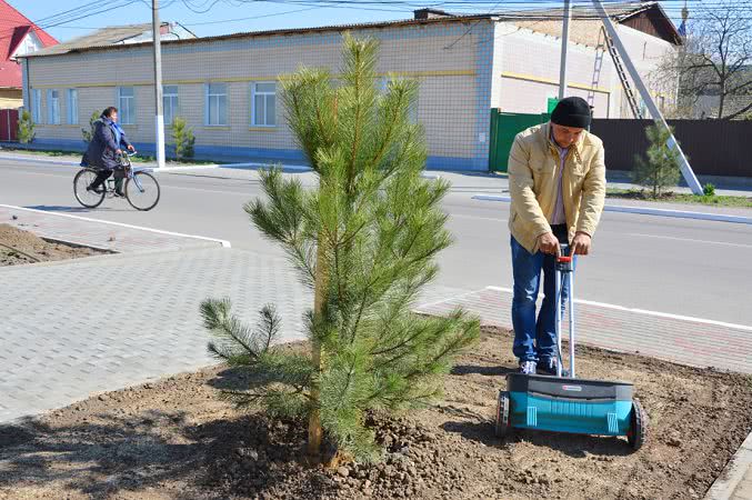 По всей Килийской ОТГ в разгаре пора озеленения