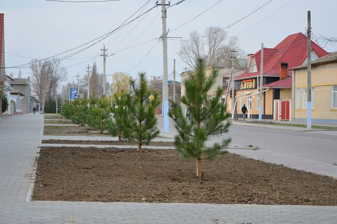 По всей Килийской ОТГ в разгаре пора озеленения