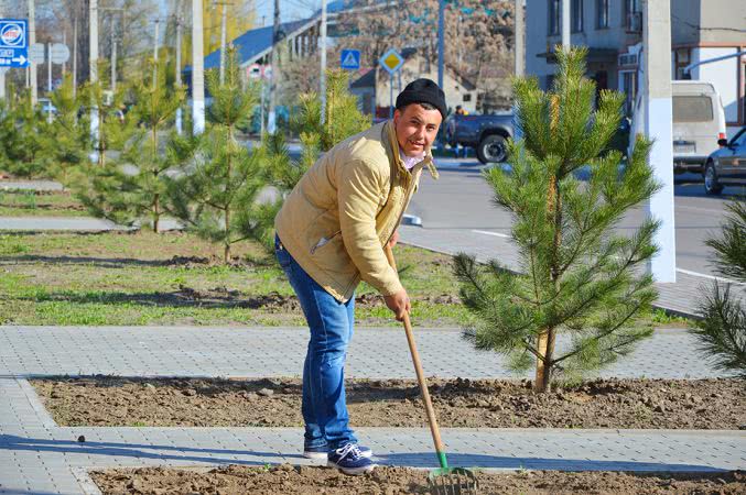 По всей Килийской ОТГ в разгаре пора озеленения