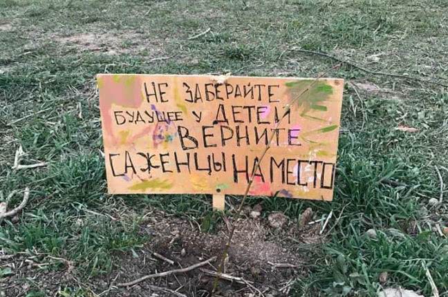 Одесса: неизвестные украли саженцы деревьев в молодом парке на поселке Котовского