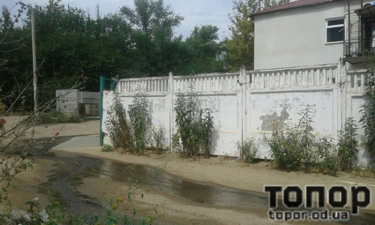 В Белгороде-Днестровском решили закрыть рыбзавод