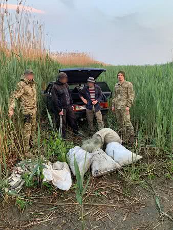 В Одесской области поймали браконьеров, которые запрещенными сетями наловили рыбы на 65 тысяч гривен. Фото