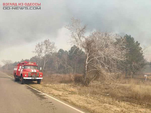 В Одесской области в лесничестве снова произошел пожар