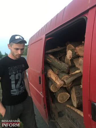 "Чёрные дровосеки" нагло уничтожают лесополосы в Измаильском районе (фотофакт)