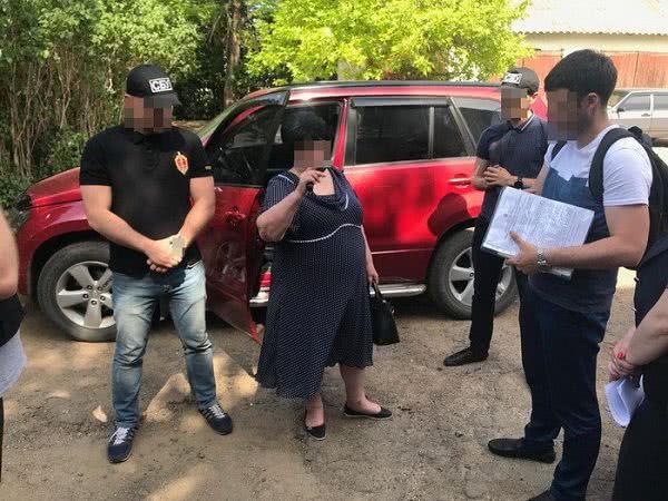 Глава сельсовета в Одесской области требовала от предпринимателя 10 тысяч долларов за аренду земли. Фото