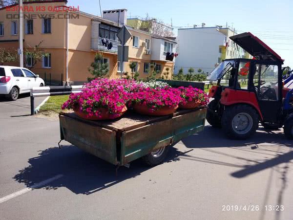 В Одесской области вторсырье обменяли на цветы