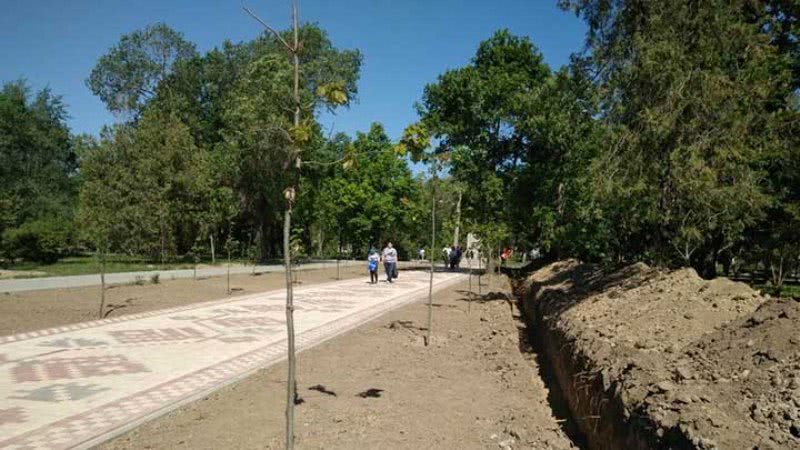 Сезон полива открыт: в Рени в парке Победы планируют проложить водопровод для полива зелёных насаждений