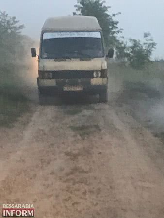 "Чёрные дровосеки" нагло уничтожают лесополосы в Измаильском районе (фотофакт)