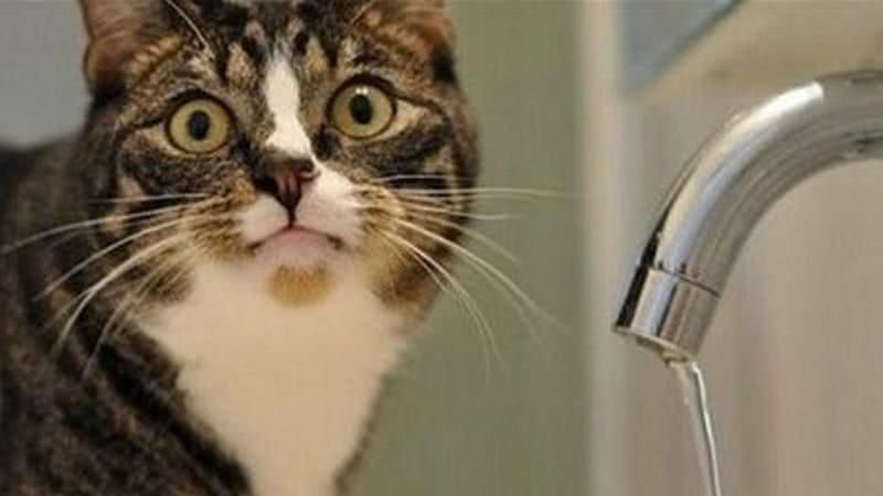 В Измаиле тариф на воду вырастет еще на 19%