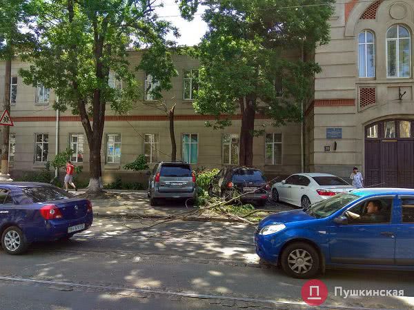 В центре Одессы дерево упало и повредило автомобиль, а на Французском бульваре заблокировало движение трамваев. Фото