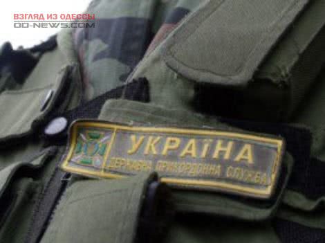 В Одесской области нашли нарушительницу государственной границы