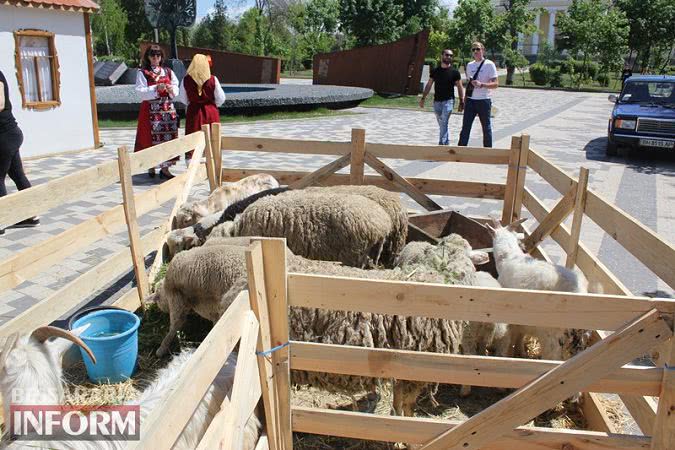 В Болграде прошел гастрономический фестиваль «Гергьовденски Панаир - смачный баранчик» (фоторепортаж)