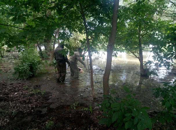 В Одесской области за сутки утонуло двое людей: в море и реке