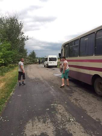 В Саратском районе бушевала стихия. Деревья падали вдоль трассы (фото)