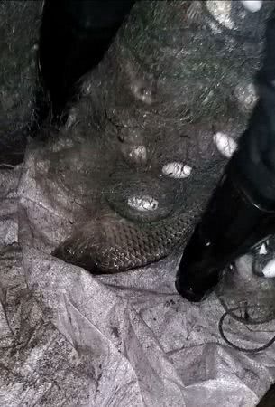 В Одесской области мужчину будут судить за двадцать карасей и шесть раков. Фото