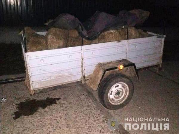 Могут сесть на шесть лет: трое жителей Болградского района попались на краже отары овец (фото)