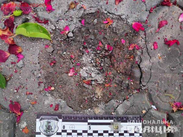 В Одесской области во дворе дома взорвалась граната (фото)