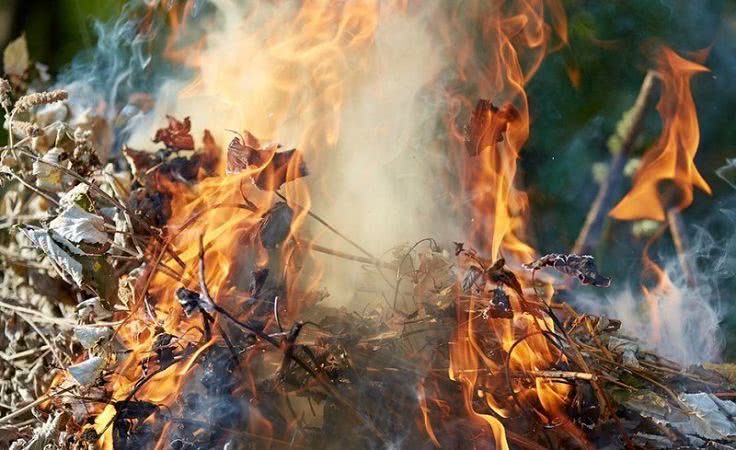 В Одесской области ликвидировали масштабный пожар в экосистеме