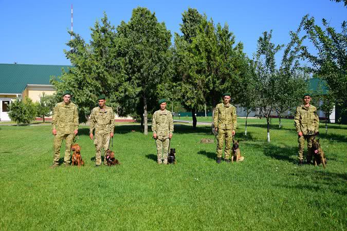 Измаильский погранотряд пополнился кинологами со служебными собаками