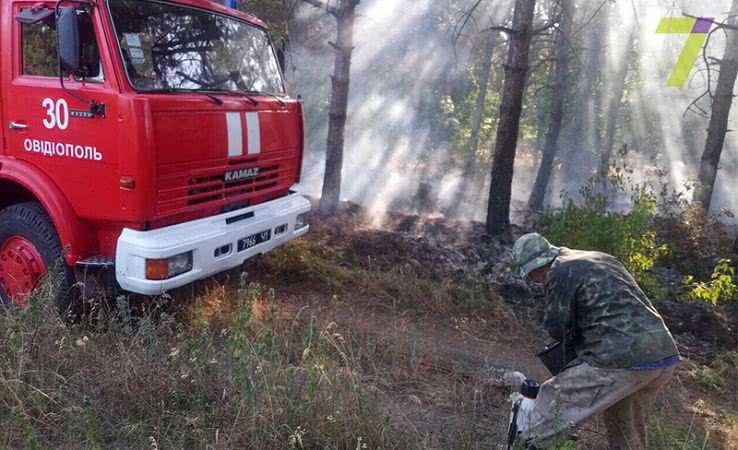 В Одесской области ликвидировали лесной пожар (фото)