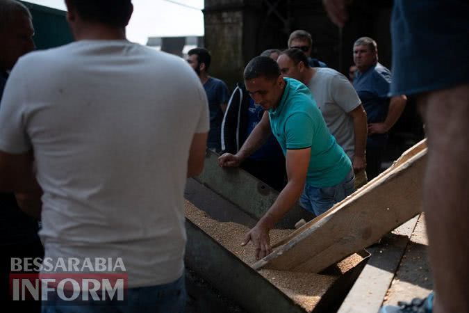 Фермеры Бессарабии пытаются вывезти своё зерно, оказавшееся в "заложниках" Измаильского элеватора - полиция им препятствует