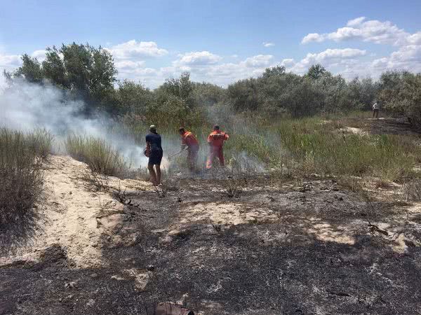 На одном из пляжей Татарбунарского района произошло возгорание сухой травы из-за выброшенного окурка